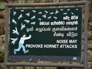 hornet-attack-sign