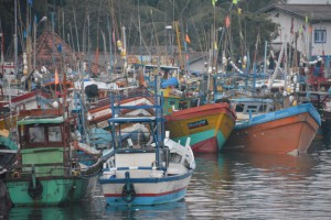 Fishing boats in Mirissa's harbor.