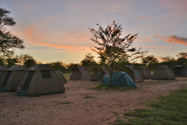 Morning at the campsite in the Serengeti.