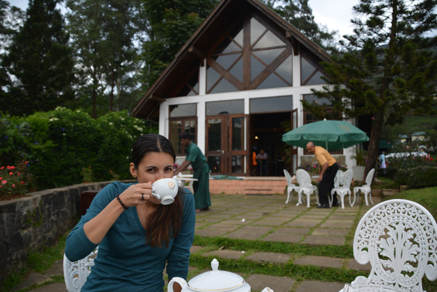 tea-srilanka-alissa