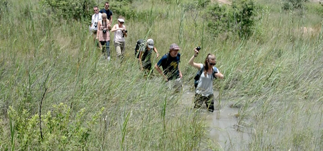 walking-through-water