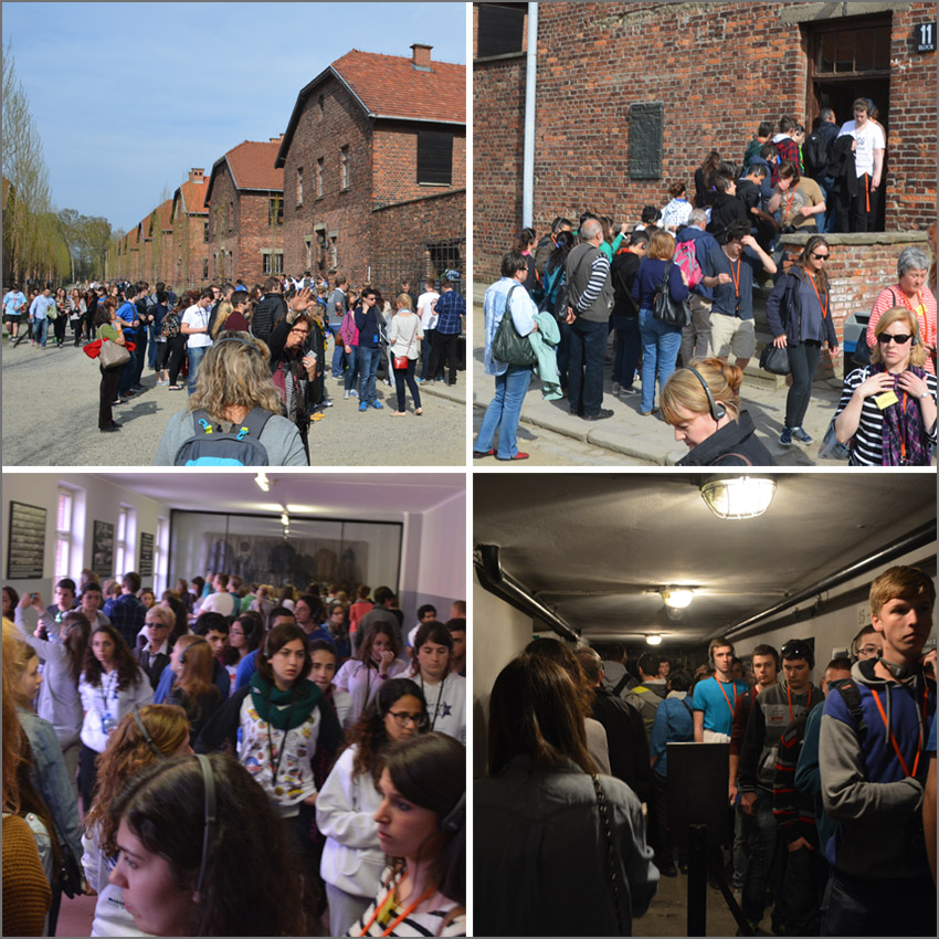 The crowds at the Auschwitz I museum.