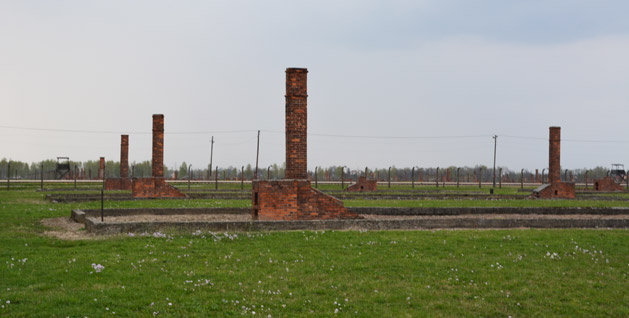The remains of old wooden barracks at Birkenau.
