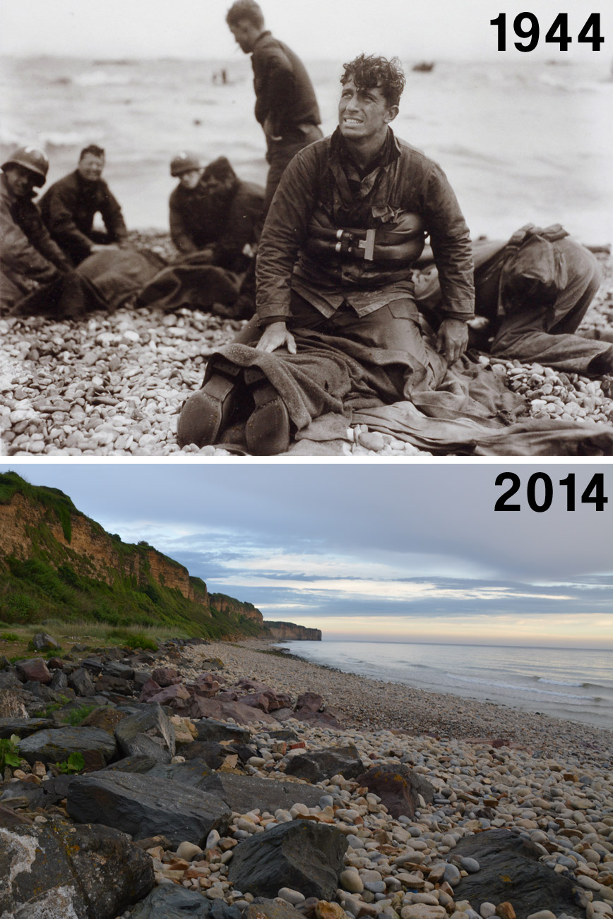 dog-green-rocks-then-now