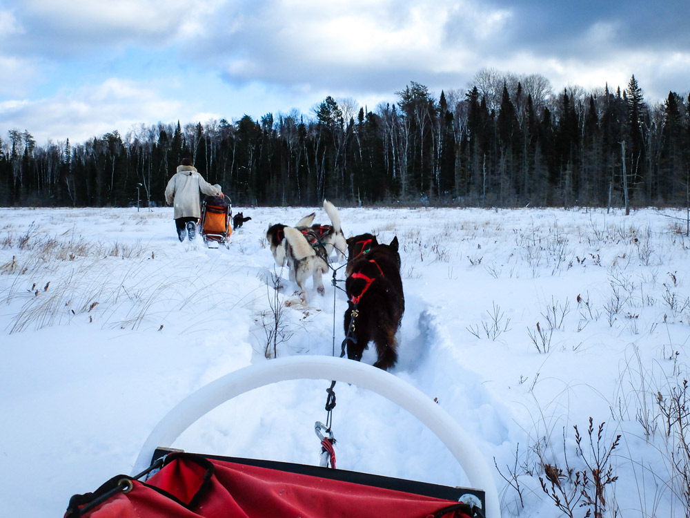Making our way through the frozen marsh.
