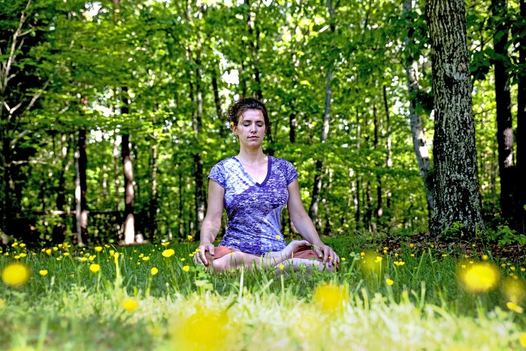 Integral_Yoga_Meditation